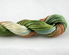 ThreadworX Overdyed Cotton Floss - 01113 Indian Summer