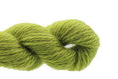 Bella Lusso Merino Wool - 0253 Asparagus
