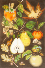 Melissa Shirley Designs Mary Lake-Thompson Autumn Fruit by Mary Lake Thompson Needlepoint Canvas