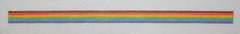 Kate Dickerson Needlepoint Collections Sunglass Strap Rainbow Stripes Needlepoint Canvas