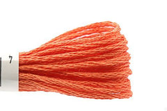 Lecien Cosmo Embroidery Floss - 0444