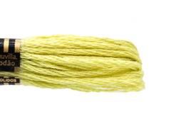 DMC Embroidery Floss - 0165 Linden Green