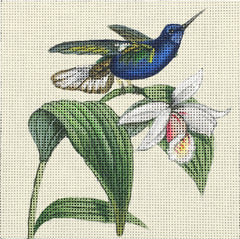 Melissa Shirley Designs Blue Hummingbird MS Needlepoint Canvas
