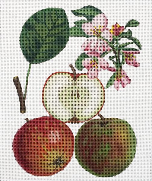 Melissa Shirley Designs Apples MS Needlepoint Canvas