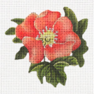 Melissa Shirley Designs Coral Rose MS Needlepoint Canvas