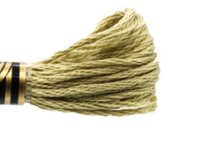 DMC Embroidery Floss - 0372 Cardamom Green
