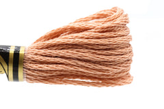 DMC Embroidery Floss - 0407 Fawn