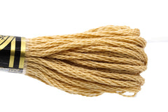 DMC Embroidery Floss - 0422 Light Oak