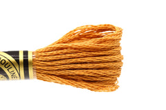 DMC Embroidery Floss - 0435 Tobacco