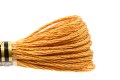 DMC Embroidery Floss - 0436 Teddy