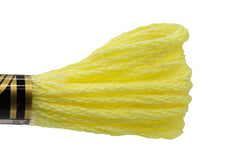 DMC Embroidery Floss - 0445 Buttered Popcorn