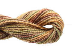 Caron Collection Impressions Variegated - 223 Rye