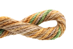 Enriched Threads Caron Collection Watercolours - 009 Grand Canyon