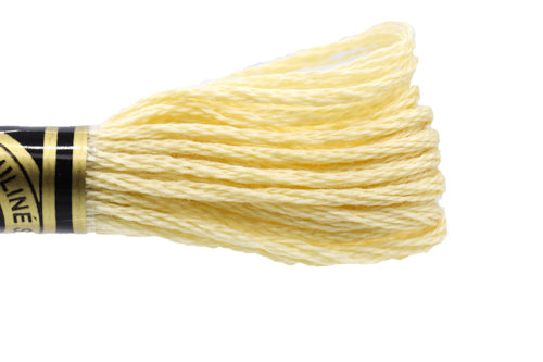 DMC Embroidery Floss - 0677 Sand