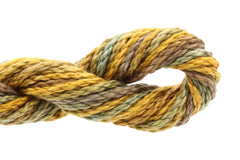 Enriched Threads Caron Collection Watercolours - 139 Kelp