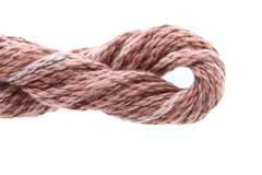 Enriched Threads Caron Collection Watercolours - 225 Walnut