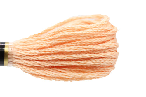 DMC Embroidery Floss - 0754 Beige Rose