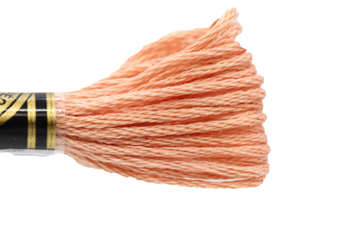 DMC Embroidery Floss - 0758 Pink Dawn