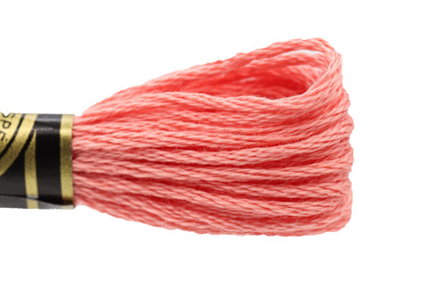 DMC Embroidery Floss - 0760 Dusty Pink