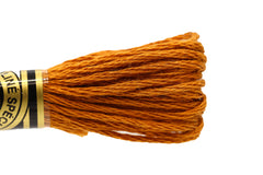 DMC Embroidery Floss - 0780 Chestnut