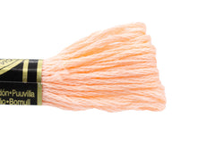 DMC Embroidery Floss - 0967 Tutu