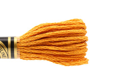 DMC Embroidery Floss - 0976 Nutmeg