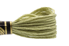 DMC Embroidery Floss - 3013 Green Oyster