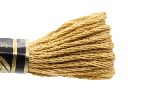 DMC Embroidery Floss - 3045 Toffee