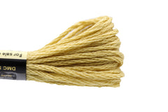 DMC Embroidery Floss - 3046 Biscuit