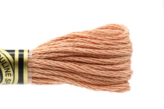 DMC Embroidery Floss - 3064 Fallow
