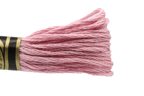 DMC Embroidery Floss - 3727 Lycee