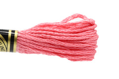 DMC Embroidery Floss - 3833 Strawberry Sorbet