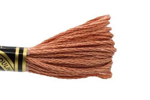 DMC Embroidery Floss - 3859 Clay