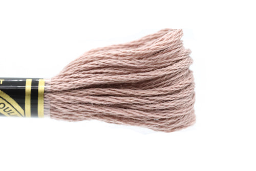 DMC Embroidery Floss - 3861 Light Taupe