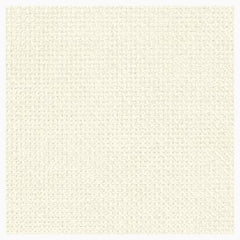 20 ct Aida Cross Stitch Fabric by Zweigart - Antique White
