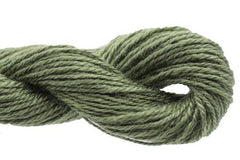 Caron Collection Impressions - 5002 Sage Green
