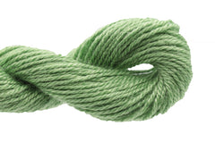 Caron Collection Impressions - 5013 Sage Green