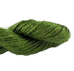 Enriched Threads Caron Collection Impressions - 5022 Olive Green