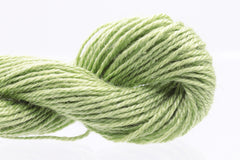 Enriched Threads Caron Collection Impressions - 5023 Olive Green
