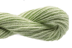 Enriched Threads Caron Collection Impressions - 5024 Olive Green