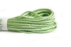 Soie d'Alger 5m color 2113