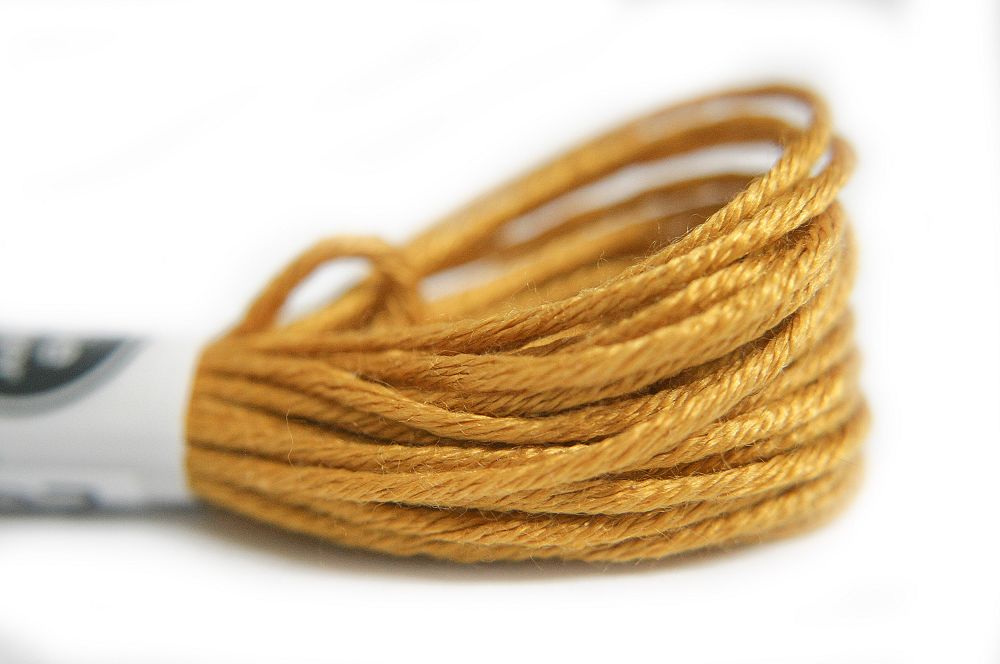 Soie d'Alger 5m color 2535