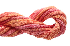 Caron Collection Waterlilies - 208 Tangerine