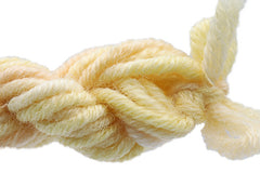 Gloriana Lorikeet - 129W3 Baby Corn