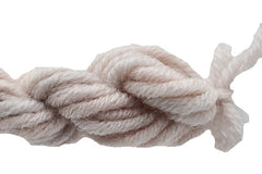 Gloriana Lorikeet - 140W1 Pigeon Pastel