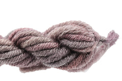 Gloriana Lorikeet - 140W3 Pigeon