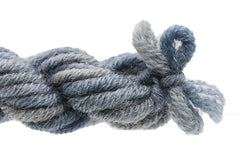 Gloriana Lorikeet - 145W3 Blue Heron