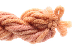 Gloriana Lorikeet - 151W2 Cinnamon Light