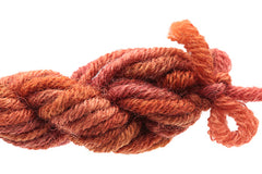 Gloriana Lorikeet - 151W3 Cinnamon