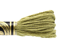 DMC Embroidery Floss - 3012 Dried Moss